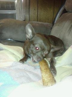 Donna Ruff's album, LG Phone Photos