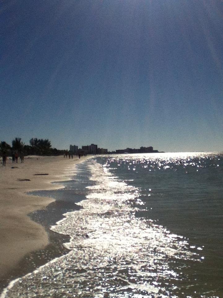 will jones' album, Disney & Ft. Meyers Beach