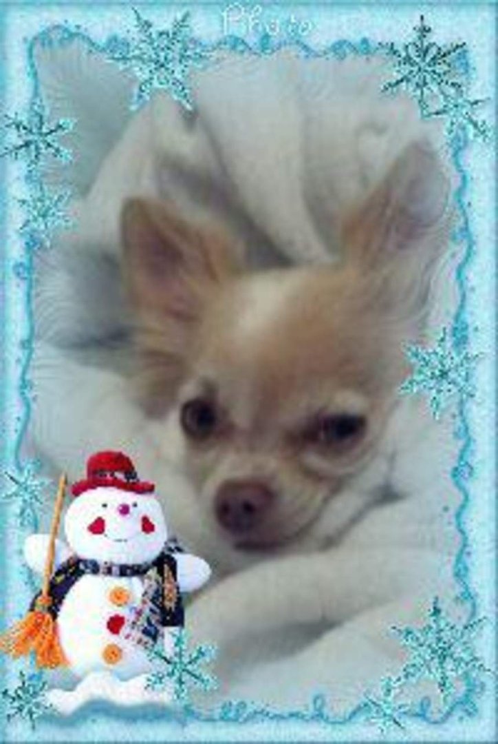 Susan Beason's album, Profile Pictures
