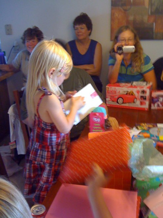 Steve Braune's album, Danielles 4th Birthday