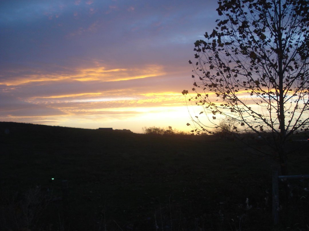 Joyce Marshall's album, Cover Photos