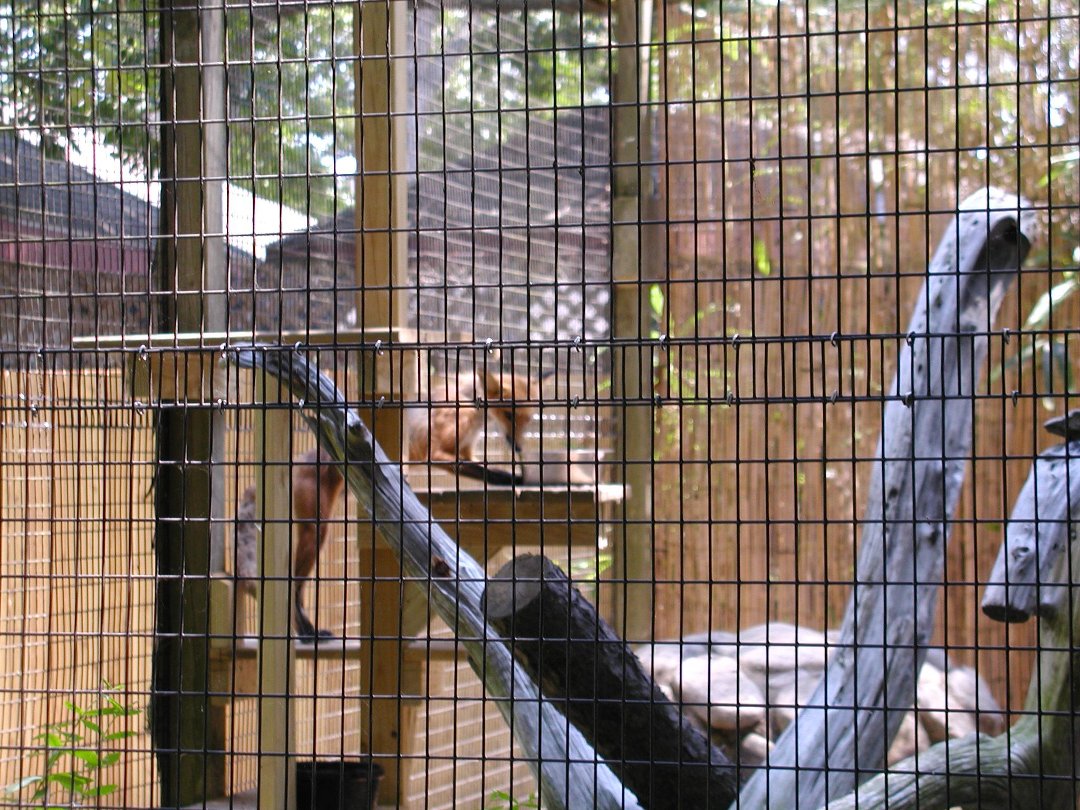 daniel dixon's album, Ponderosa Campground/Cape May Zoo