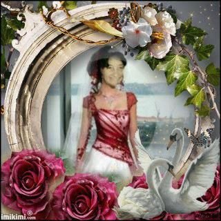 roxanne tate's album, December 14, 2011