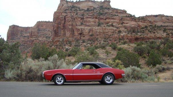 Patrick Bond's album, My Firebird