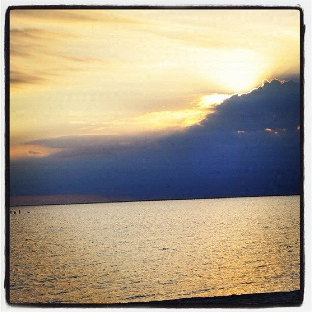 Cyndi Leonards' album, Instagram Photos