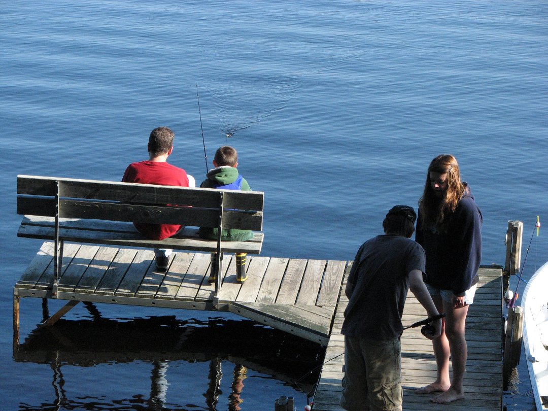 David Hitz's album, Dam Lake - 2011