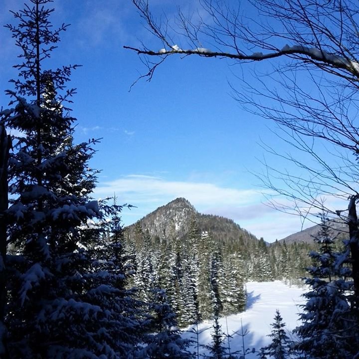 Danny Boisvert's album, Cover Photos