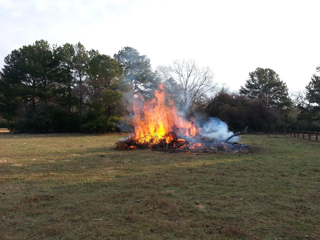 Mark Nix's album, Timeline Photos