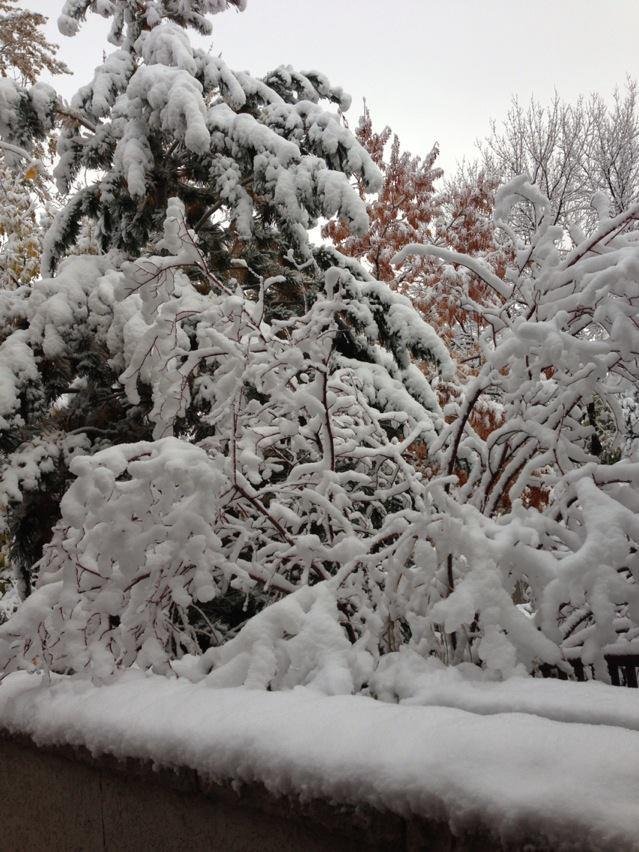 Lynn Plummer's album, iOS Photos