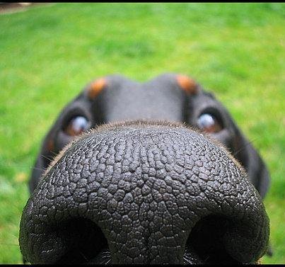 Brian Judd's album, Cover Photos