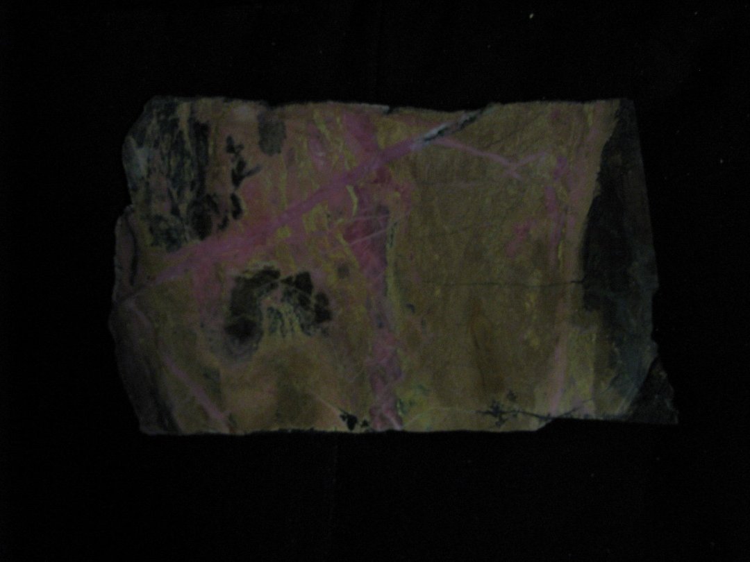 Wayne Gilmore's album, Rocks