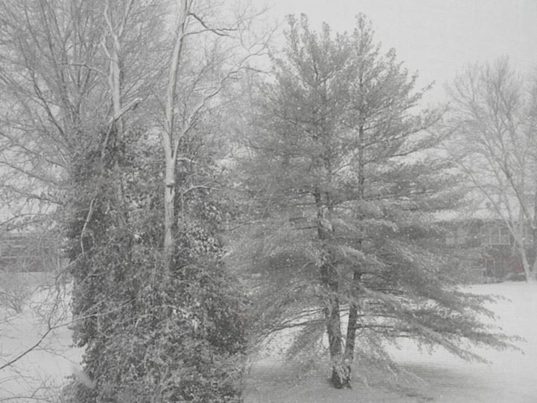 Lori Johnson's album, THE FIRST SNOW OF 2O12