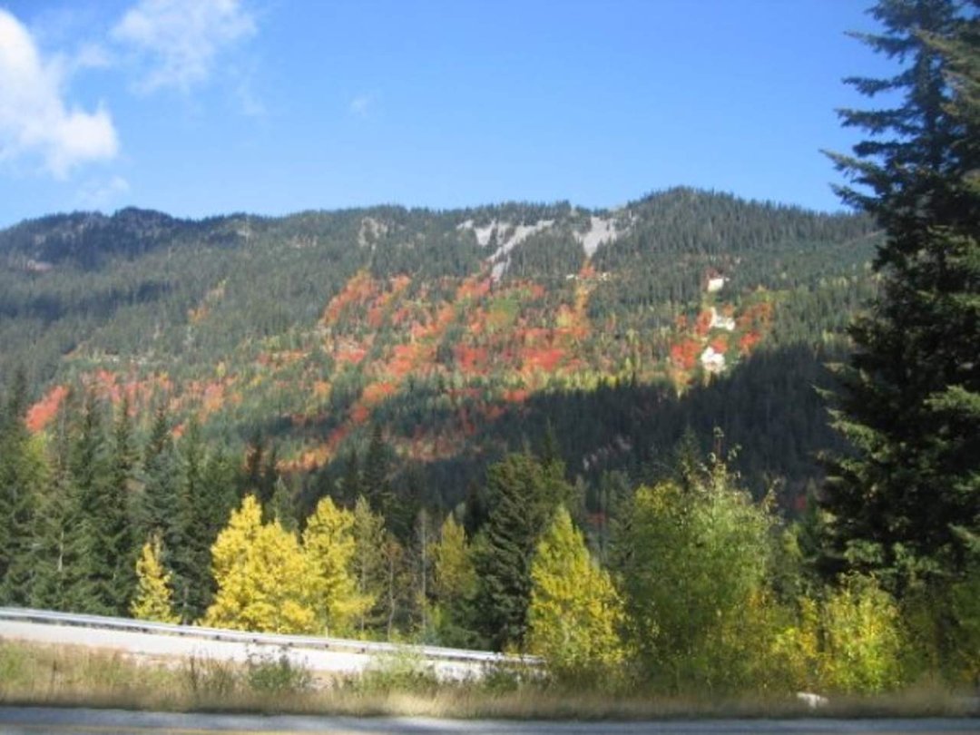 Robin Ask's album, Fall in the NW