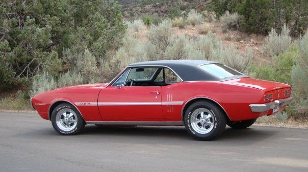 Patrick Bond's album, My Firebird