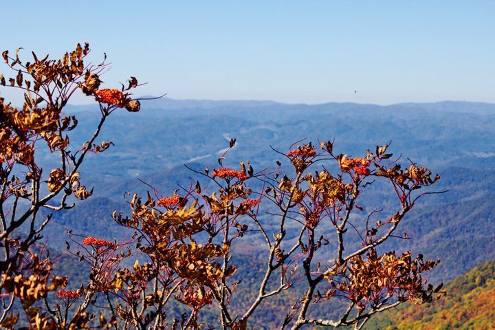 John Turner's album, 2010-10 Blue Ridge Pkwy