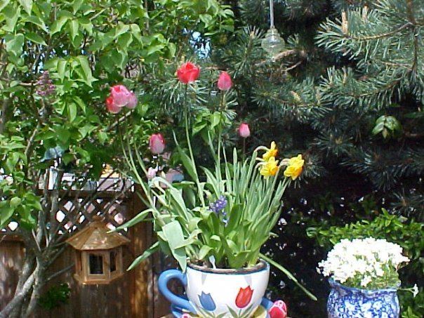 Barbara Kent's album, Yard Pictures