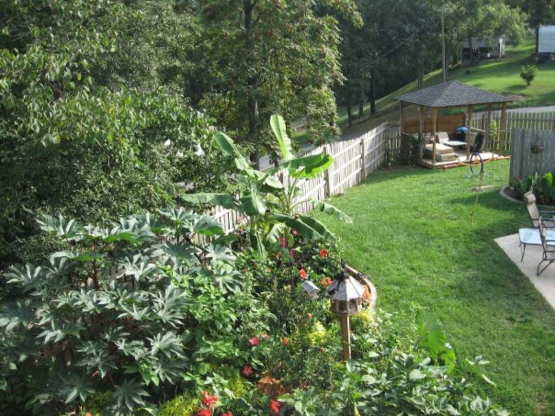 Sharon Moore's album, Missing My Garden