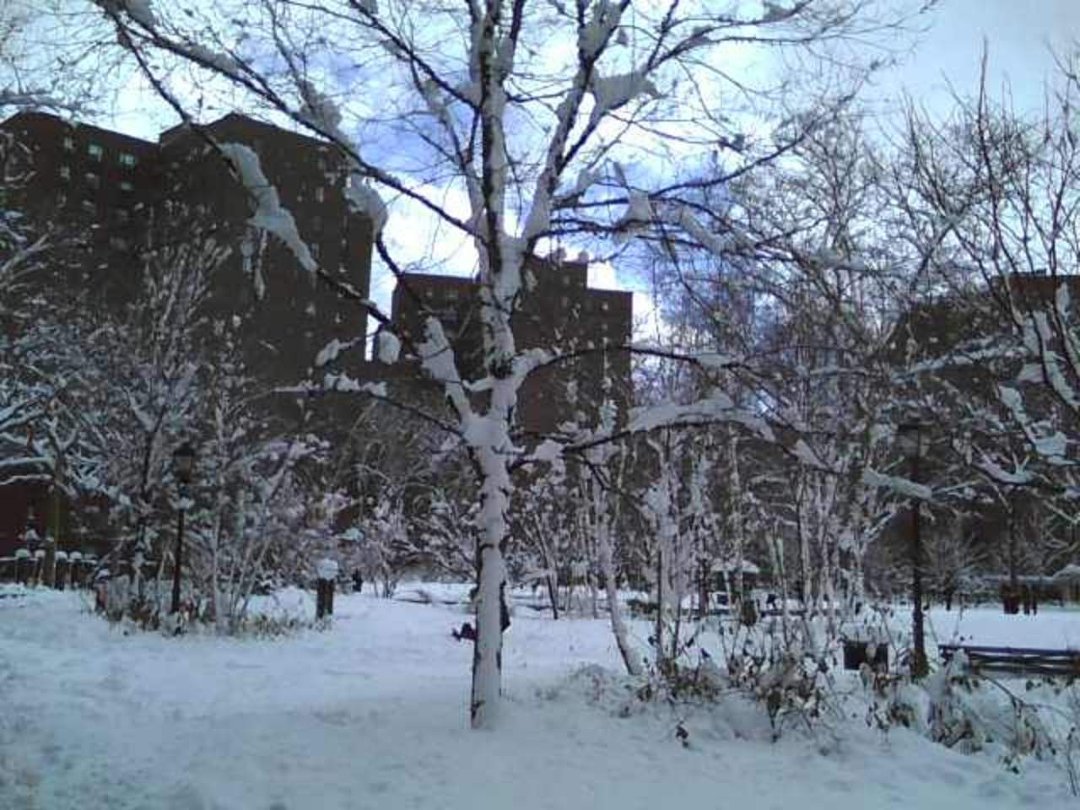 Paula Riezenman's album, January 27, 2011