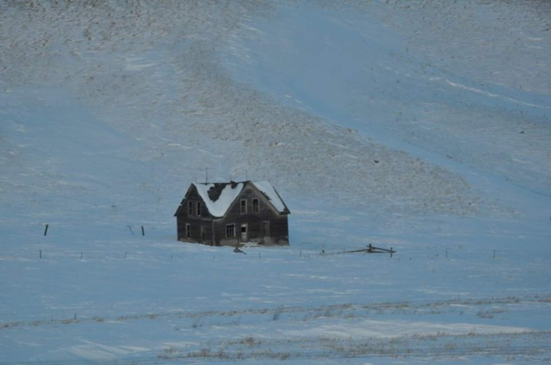 Edward Asbert's album, Cananda trip January , 2011