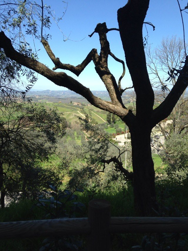 David Friedler's album, iOS Photos