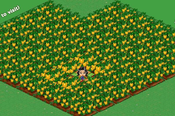 Loriann Wenzel's album, FarmVille Photos