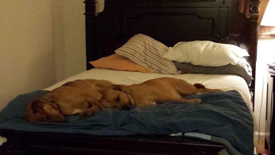 Stephanie Sheets' album, Mobile Uploads