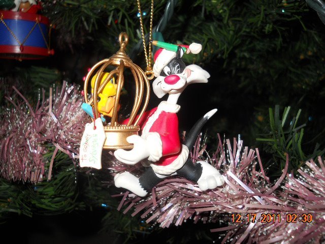 Melissa Deckard's album, Cover Photos