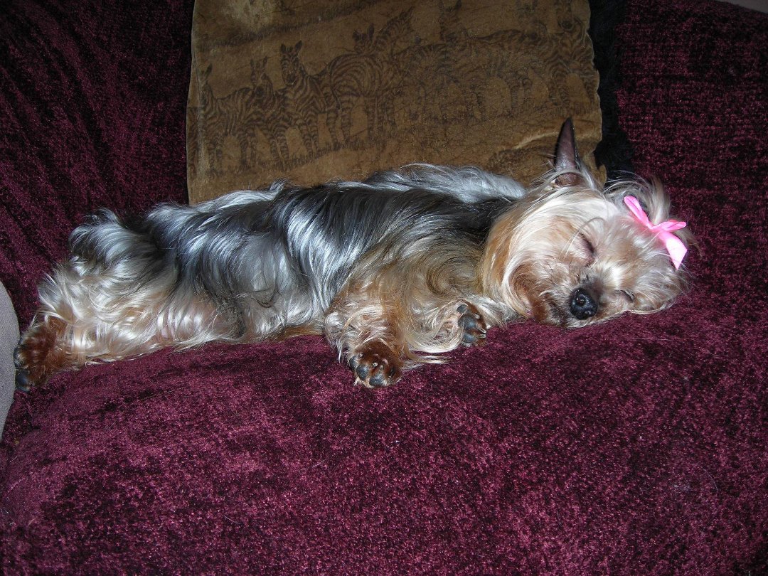 Connie Countryman's album, Sophie's 1st day home