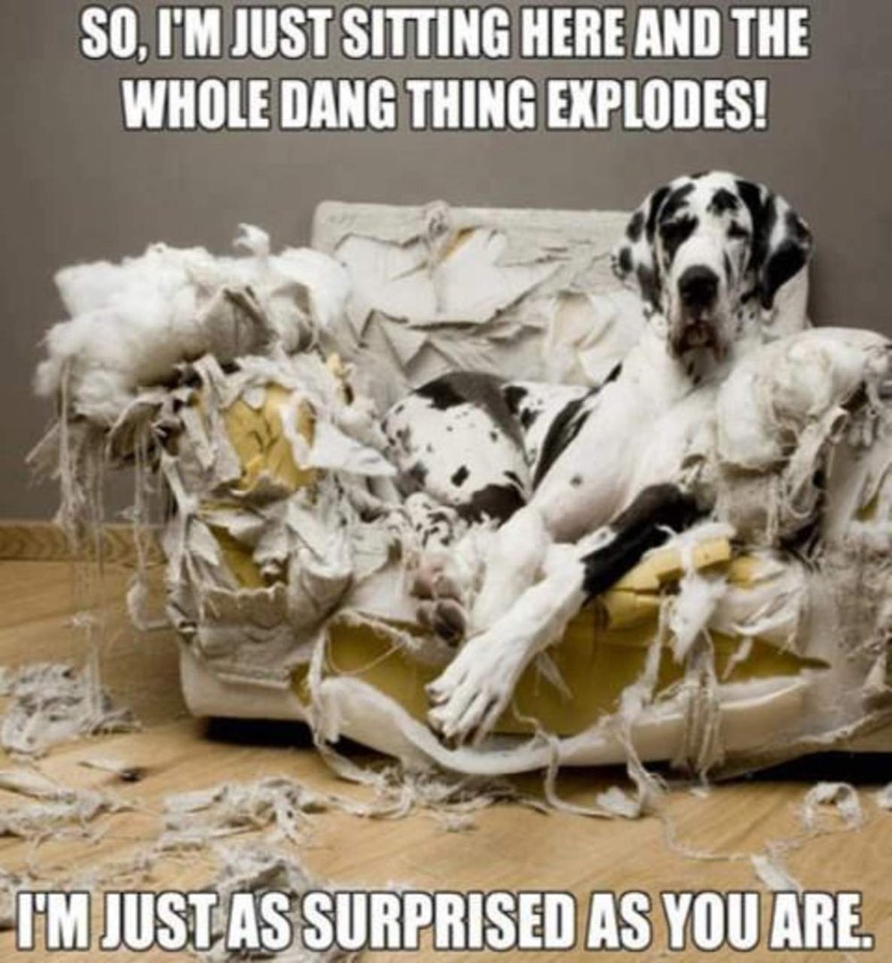 Denise (DeeDee) Hannah's album, Timeline Photos