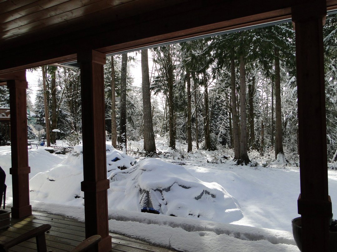 Coralee Green's album, Snow 2/2011