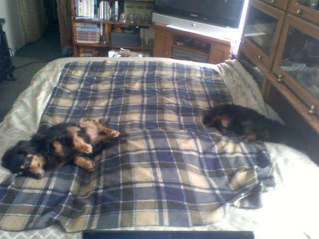 Patty Monjay's album, Mobile Uploads