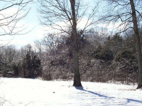 Mark Cagle's album, 2010 winter