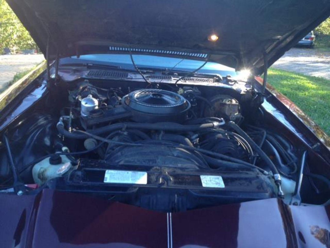 David Bucher's album, Camaro Berlinetta