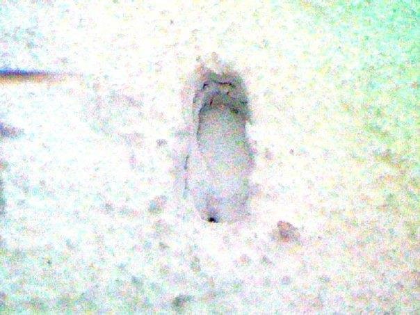Erin Duffield's album, Winter Wonderland!!!