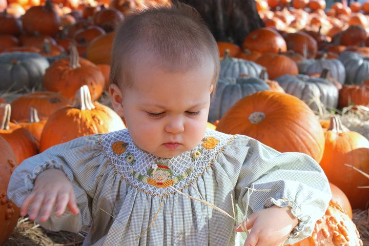 Davis Collins' album, Collins at the Pumpkin Patch