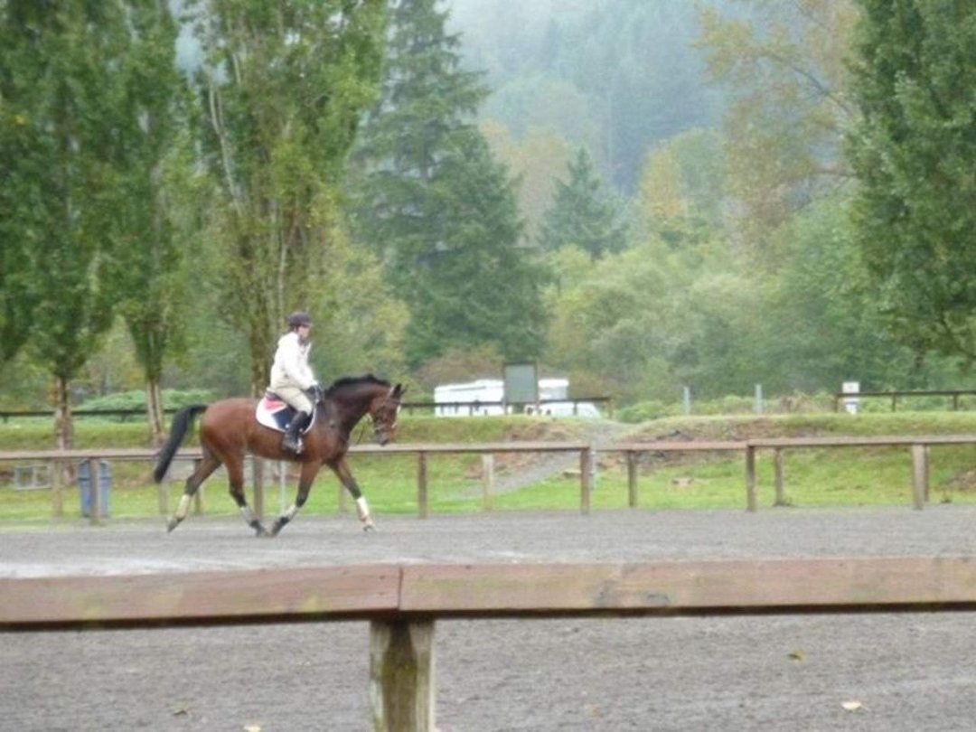 Denise Cole's album, October 9, 2011 - Katherine and Vatino gallop