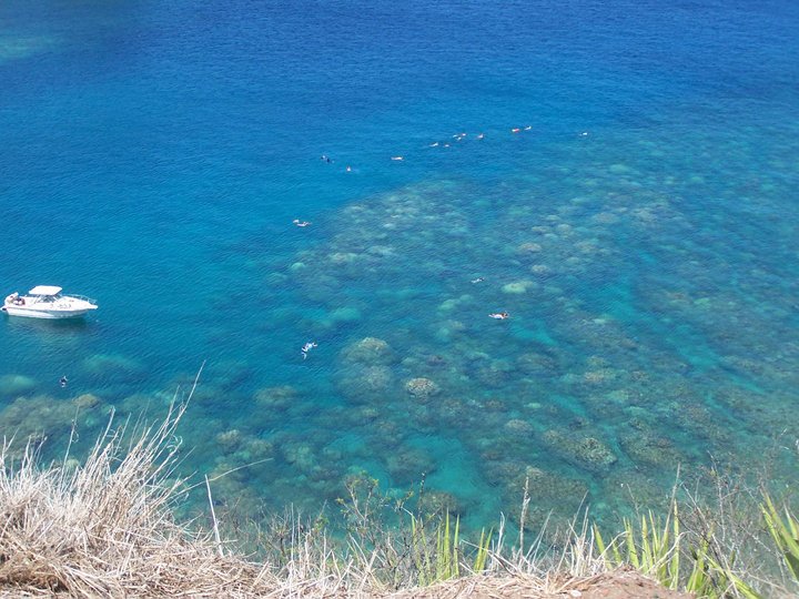 Ray Garza's album, Island Wide