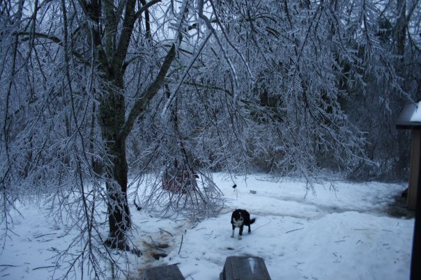 James Wicker's album, Christmas Ice Storm 2009