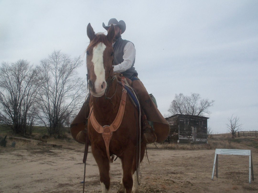 Ryan Chaney's album, Profile Pictures