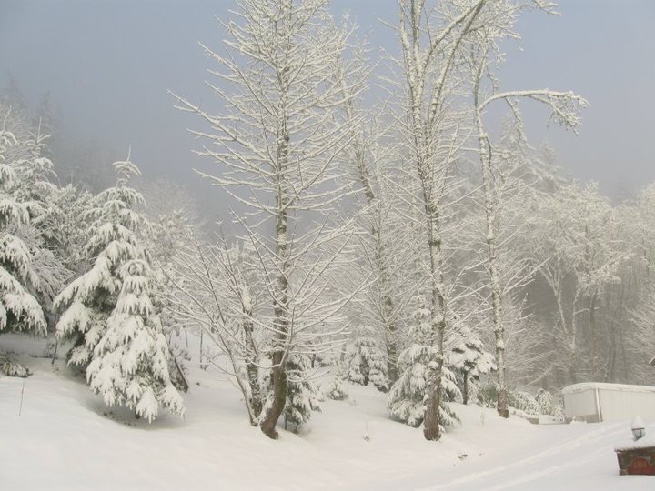 Lon Jackson's album, Snow Fall on the Mountain