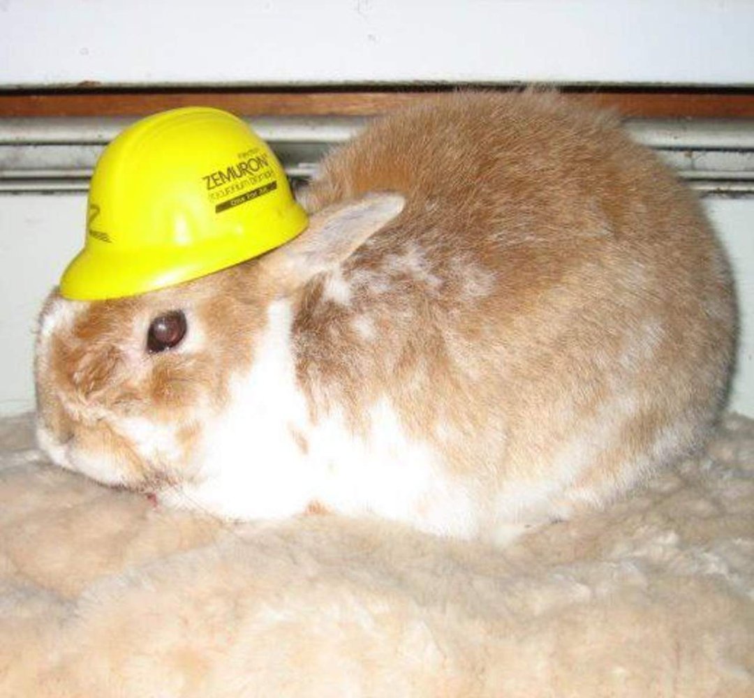 Terry McShane Hackett's album, Peaches Plays Hat