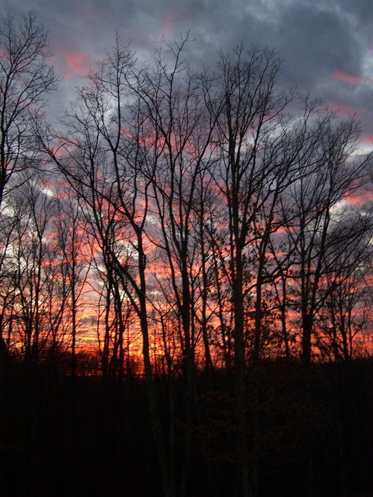 Glenna Hardy's album, sunrise-sunsets