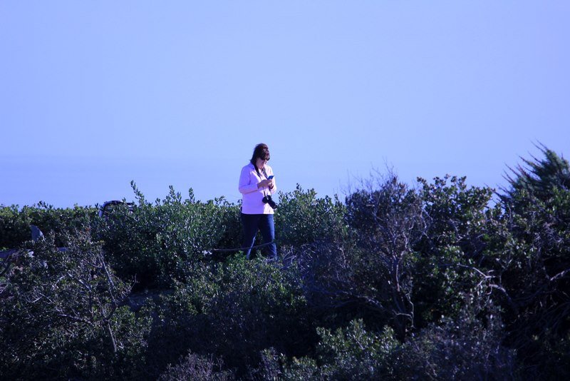 Kim Eades' album, Profile Pictures