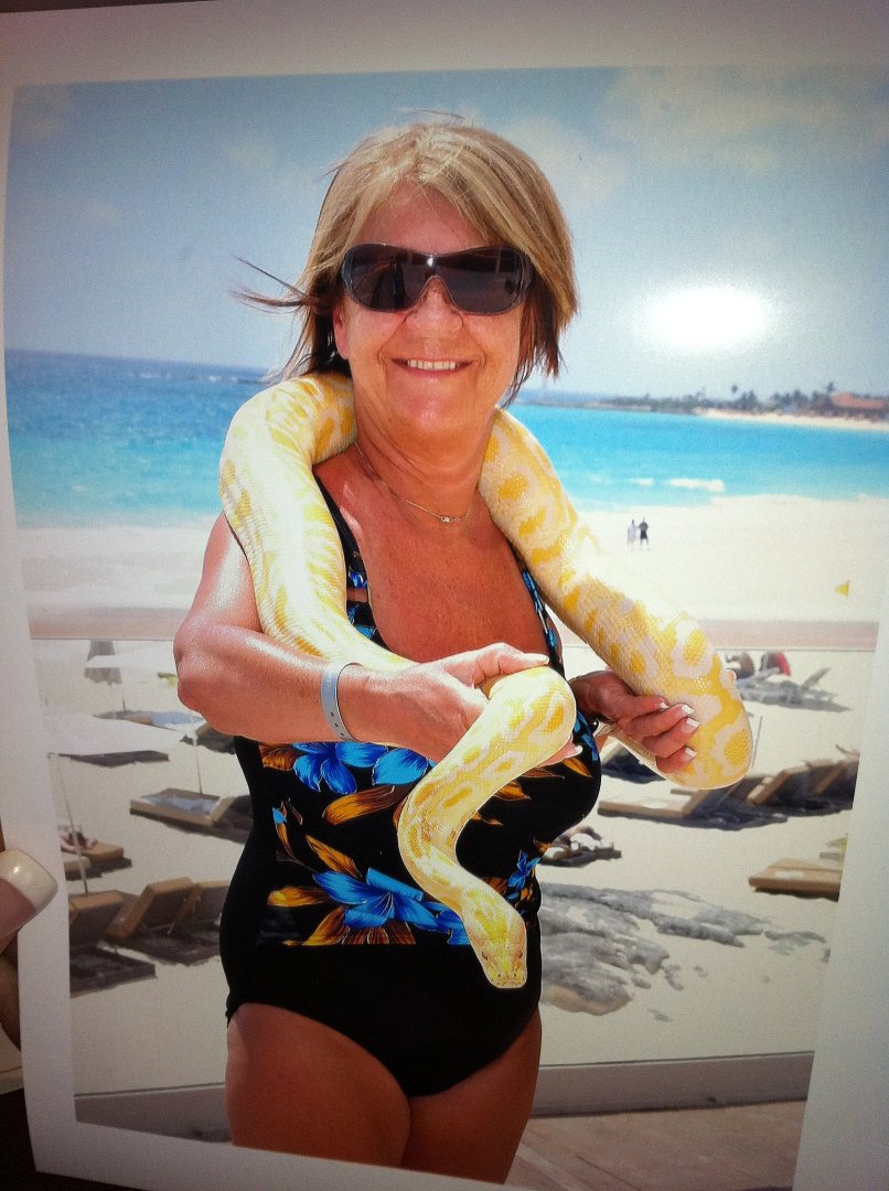 Sandra Dixon's album, Mobile Uploads