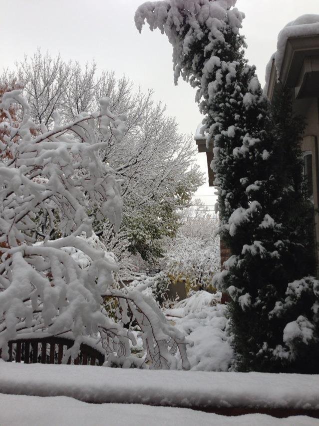 Lynn Plummer's album, iOS Photos