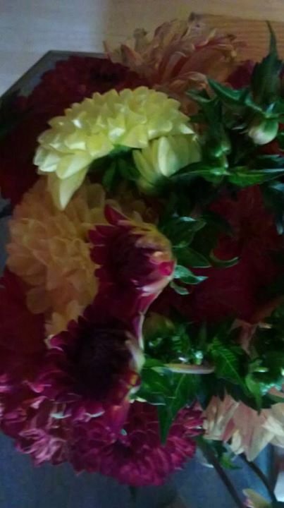 Debbie Groda's album, Mobile Uploads
