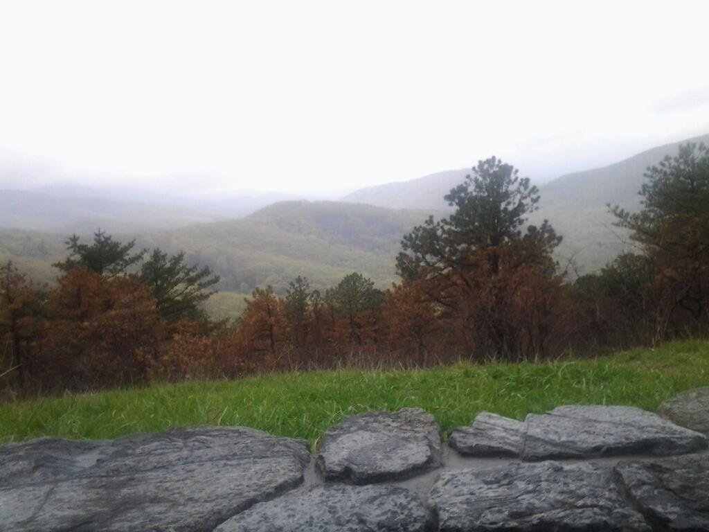 Erin Weaver's album, Mobile Uploads