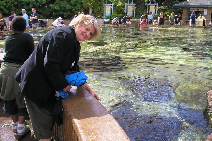 Jean Pizzola's album, Seaworld and Arizona