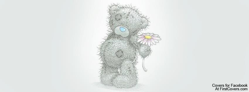 Donna Sperry's album, Cover Photos