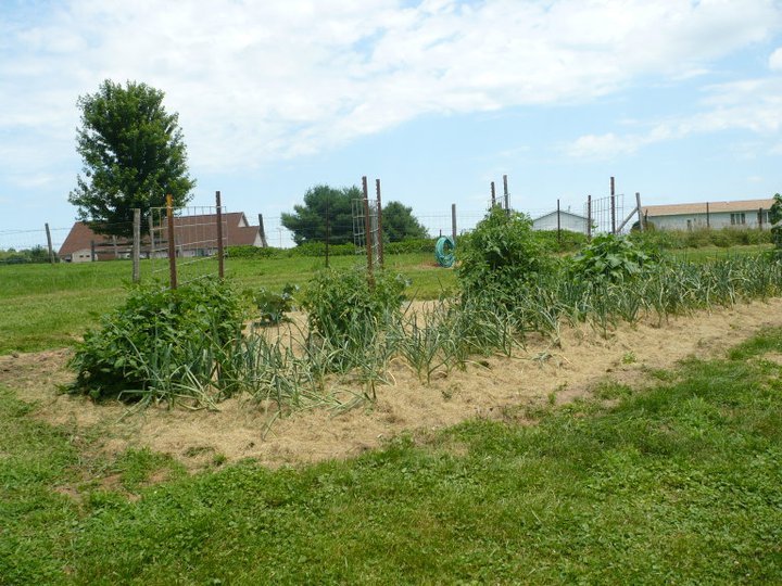 Vern Barry's album, July 2, 2011